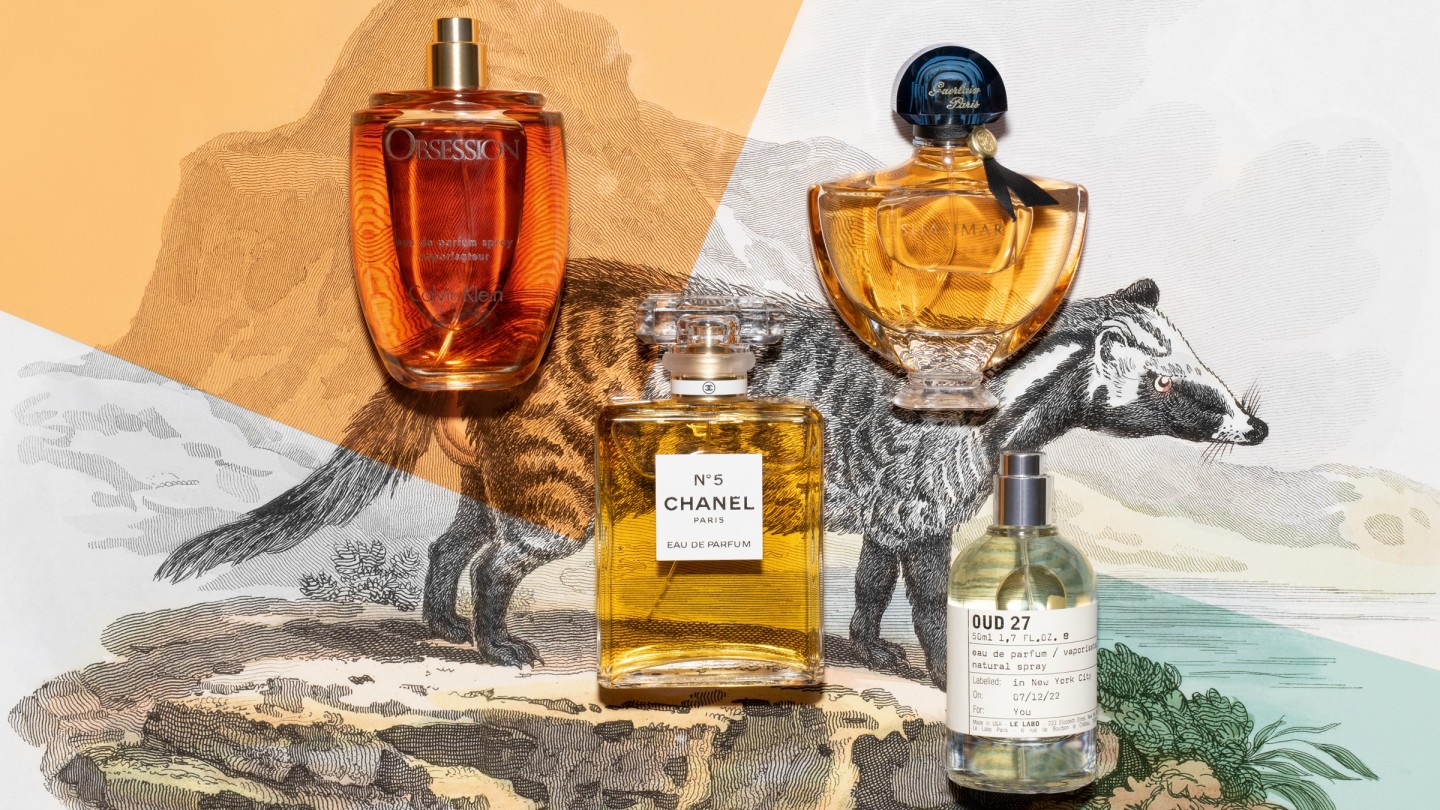 Musk-have scent: the kinky allure of civet