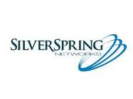 Silver springs networks ipo forex systems program