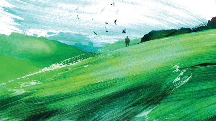 man on a green landscape, with birds flying on the horizon