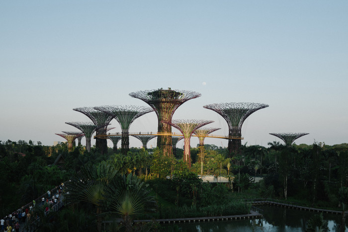 Solar-powered 'super-trees' at Singapore's Gardens by the Bay