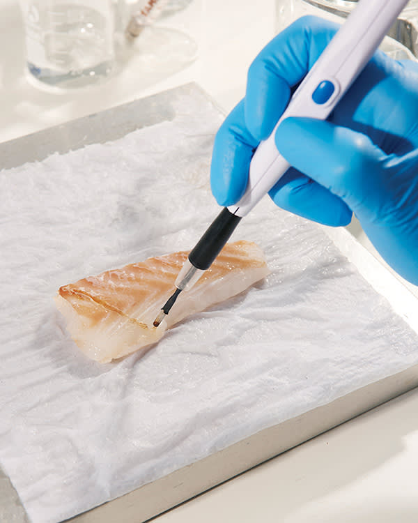 Using a laser knife to test the identity of a fish fillet