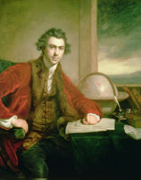 Sir Joseph Banks (1743-1820), 1771-72 (oil on canvas) by Reynolds, Sir Joshua (1723-92)