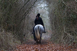 Horseback riding through woods