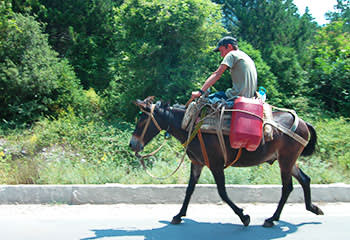 Donkeys are still a common form of transport