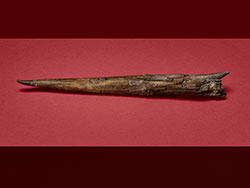 The Clacton spear, a wooden weapon crafted by Neanderthals in Essex 400,000 years ago