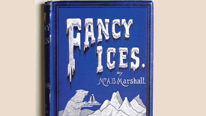 Book cover of 'Fancy Ices'