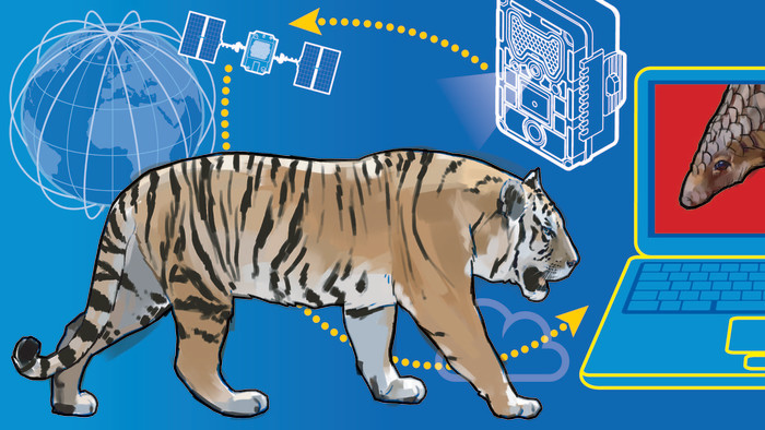 Illustration showing links between technology and conservation
