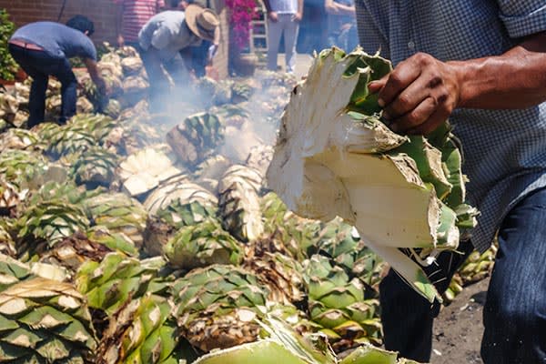 Workers roast agave hearts at Mezcal El Silencio