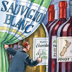 New Zealand wine illustration