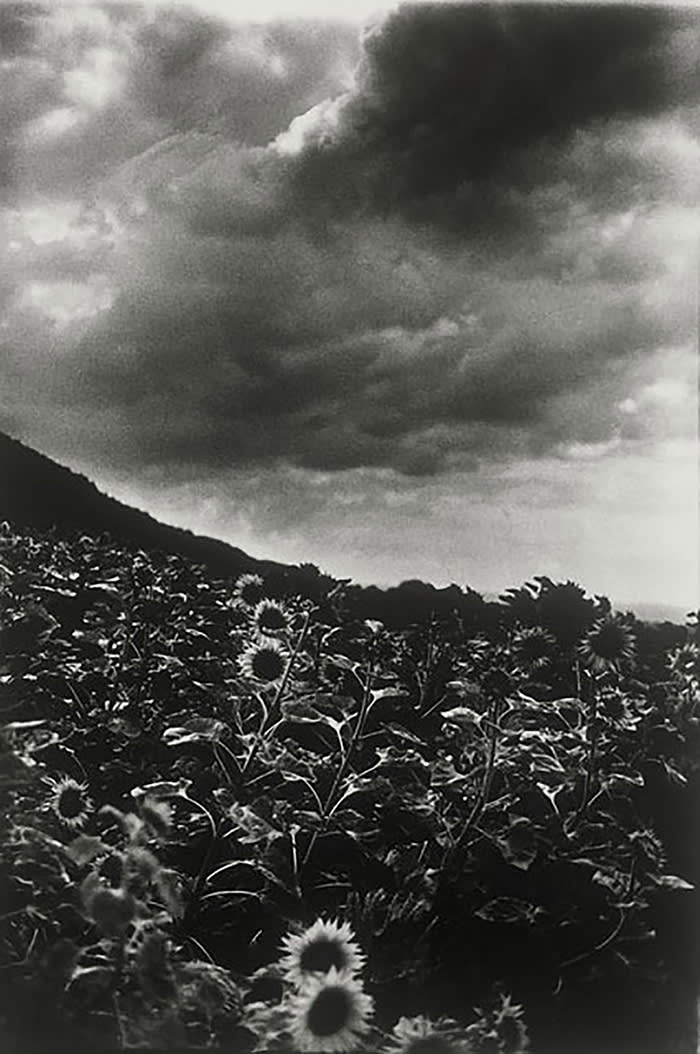 Ming Smith, Goghing with Darkness and Light, Singen, Germany, 1989, archival pigment print, 50.5 × × 40.5 cm, Courtesy of Jenkins Johnson Gallery