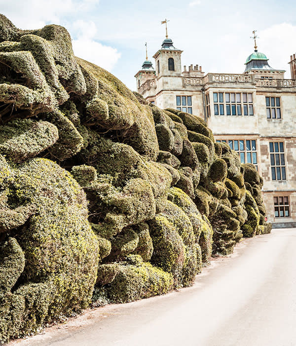 The Cloud Hedge got its shape after being neglected during the second world war