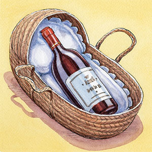 Birthday wine illustration