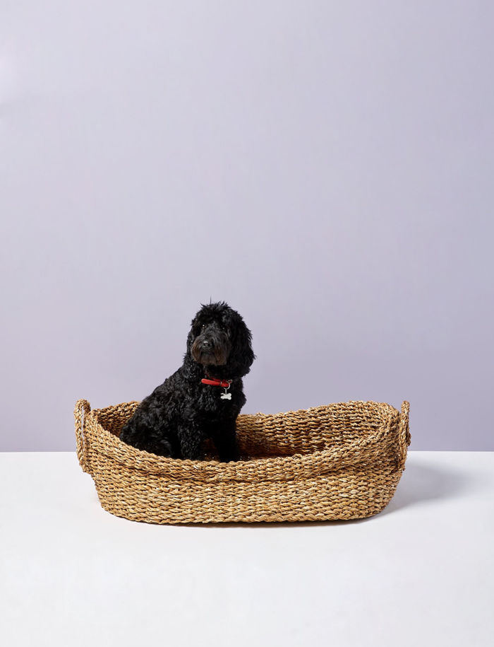 Hogla dog basket, made of natural jute, from The Conran shop