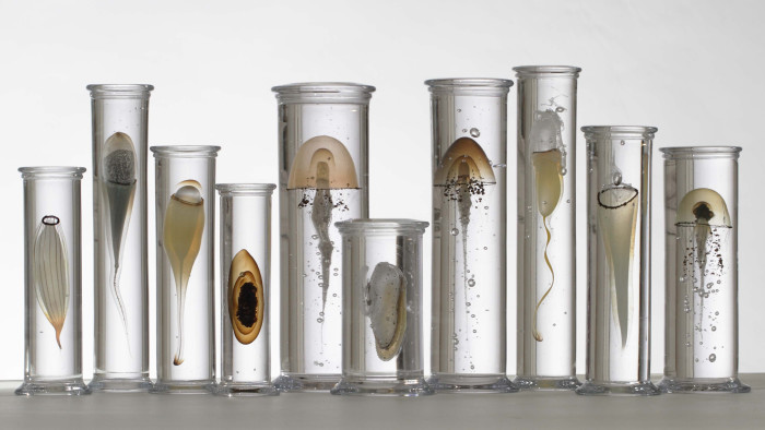 'Group of 10 Jars' by Steffen Dam, £15,000 from Colnaghi