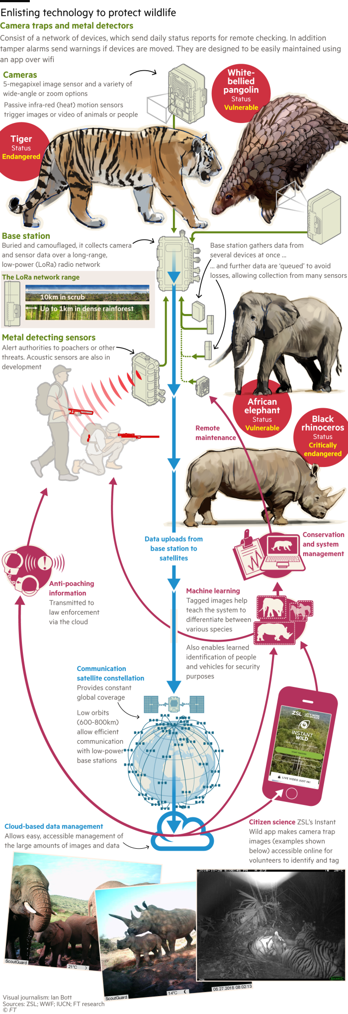 An information graphic explaining how technology is being used to tackle wildlife poaching and help conservation