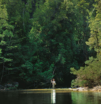 An  angler in the Tasmanian Wilderness