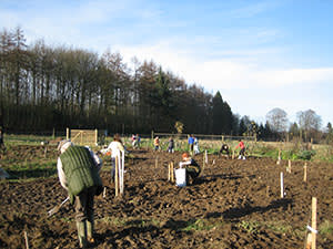 Planting the forest garden at Old Sleningford Farm, UK
