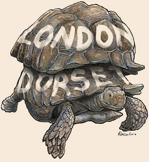 tortoise with two shells, one painted with the word 'Dorset' and one 'London. illustration by James Ferguson