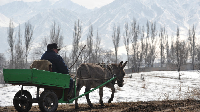 A man rides a donkey cart in front of Ala-Too mountains in the village of Koy-Tash, 15 km outside Kyrgyzstan's capital Bishkek, on March 16, 2014
