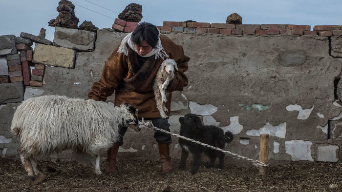 a herder in Qinghai province, a region with a high incidence of echinococcosis