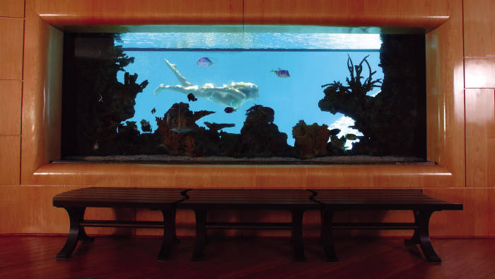 A 16ft-long aquarium, with pool beyond, at a house in Orange County, California