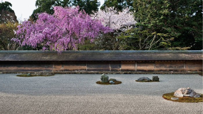 The Zen ‘dry’ garden at Ryoan-ji temple, with cherry trees in blossom