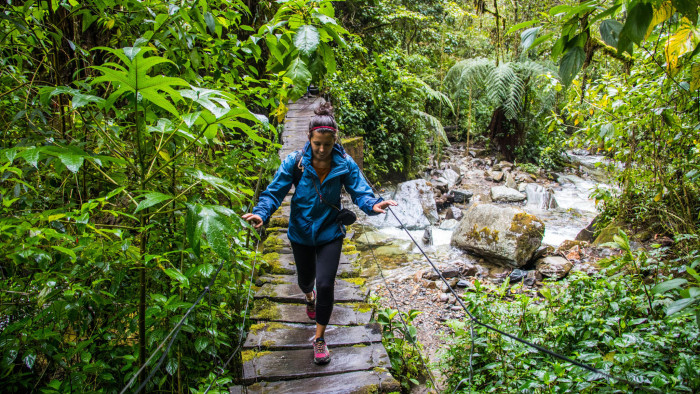 Valle de Cocora hiking trail, near Salento, Colombia, South America