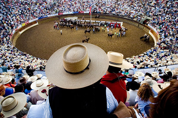 Rodeo supporters gather in the Rancagua Medialuna to see riders try to control a young bull at the National Rodeo Championship