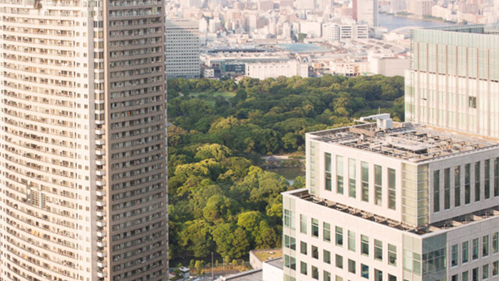 Overlooking Hamarikyu Gardens, Tokyo. photo essay for Asia-Pacific Innovative Lawyers June 2016