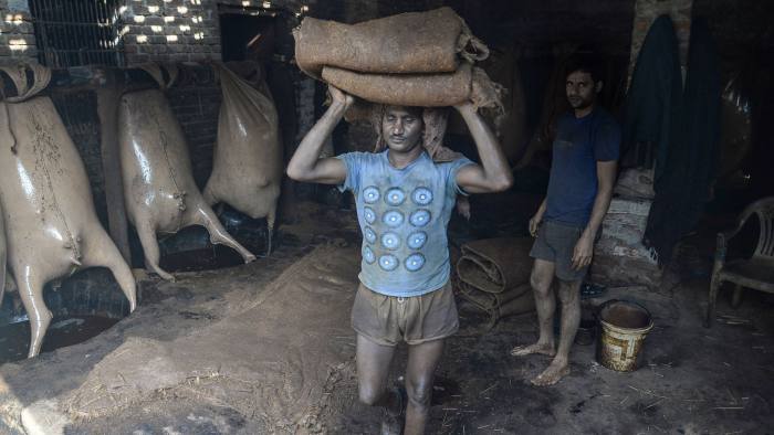 An Indian tannery worker carries cow skins to be dyed with a traditional method using acacia tree sawdust at a tannery in Jalandhar on October 25, 2017. Tanneries in Jalandhar in the northern Indian state of Punjab export the finished leather made from cow and buffalo hides to the international textile markets. / AFP PHOTO / SHAMMI MEHRA (Photo credit should read SHAMMI MEHRA/AFP/Getty Images)