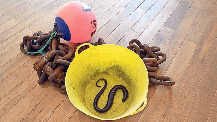 ‘Untitled (Chain, Rope, Bucket, Buoy, Eels)’