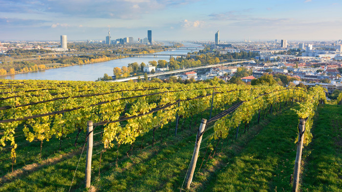 Rich pickings: central Vienna seen from the vineyards of Nussberg
