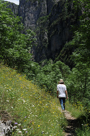 Sophy Roberts hiking at the Vikos Gorge in Greece
