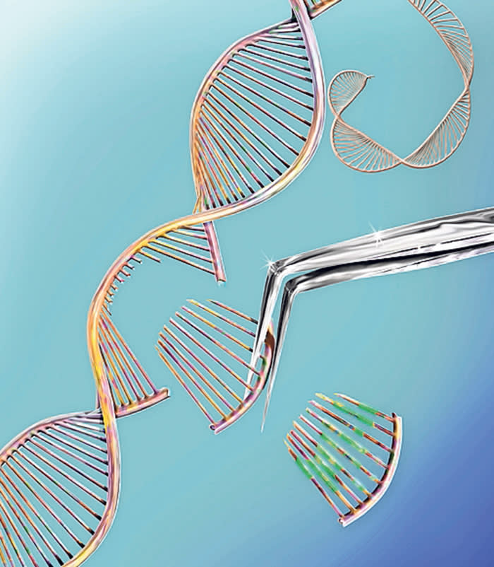 P2PT49 CRISPR gene editing, conceptual computer illustration. The CRISPR-CAS9 protein is used to cut a DNA (deoxyribonucleic acid) molecule at a specific site. The DNA molecule can then be modified.