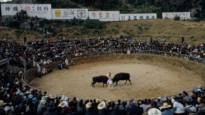 An audience crowds around a fenced outdoor ring to watch a bullfight, Okinawa, Japan