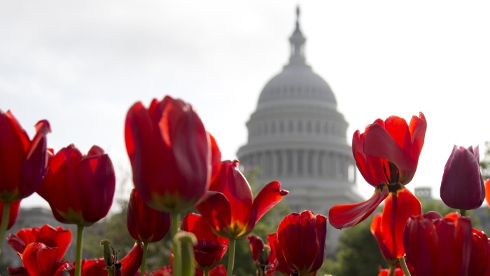 Blooming tulips frame the Capitol dome on Capitol Hill in Washington, Wednesday, April 24, 2013. (AP Photo/Carolyn Kaster)

pworld building