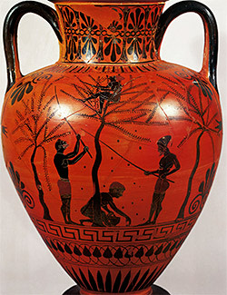 A Greek amphora depicting an olive harvest in the 6th century BC