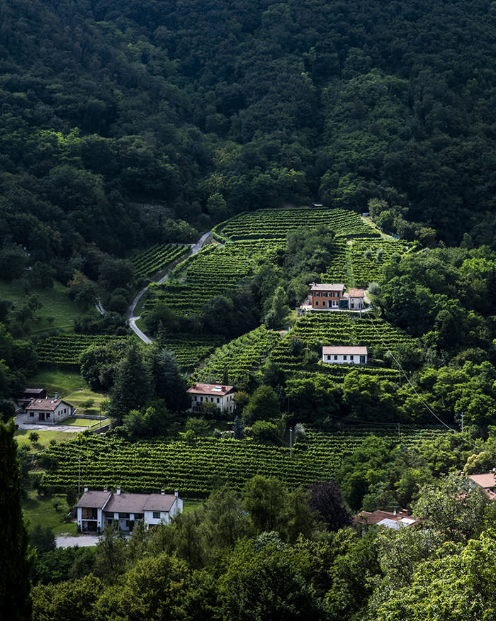 Around Lucio’s home there are beautiful surroundings, pretty famous for the original Prosecco Wine, which comes exactly from this valley.