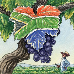 An illustration of South African flag designed on a grape leaf. A man looks on from below