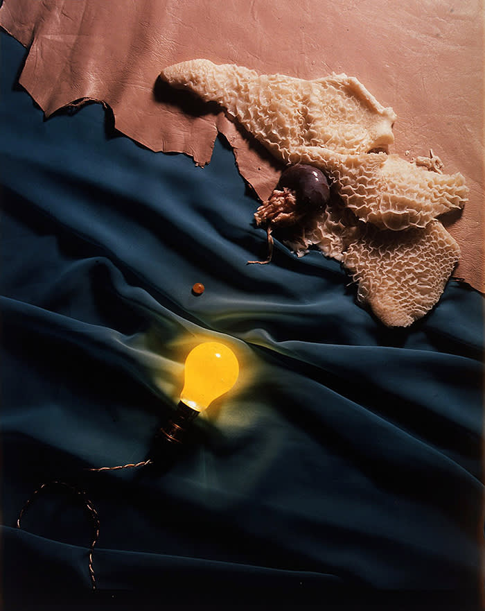 Helen Chadwick Meat Abstract No. 4: Tripe, 1989 Polaroid, silk mat 81 × × 71 cm Courtesy of The Estate of the Artist and Richard Saltoun Gallery, London