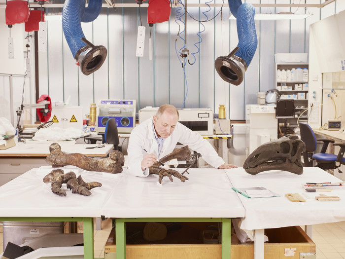 Mark Graham, fossil curator, prepares the skeleton of a mantellisaurus