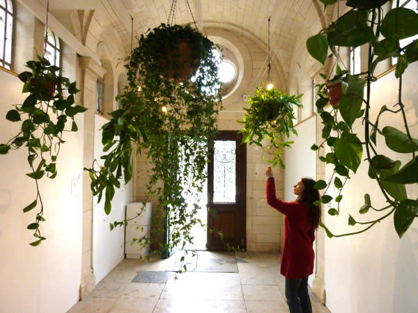 Scenocosme’s Akousmaflore project, a garden of plants that react to human contact by creating a variety of sounds