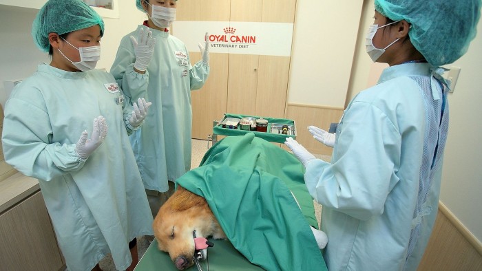 Kidzania Tokyo Integrate Education and Entertainment...TOKYO - SEPTEMBER 15: Children prepare to perform a simulated operation on a dog doll as they play the roles of veterinarians during their work experience activities at KidZania on September 15, 2009 in Tokyo, Japan. KidZania offer children more than 50 career experiences with parents not allowed to help their children during 30 minutes long activities. Kidzania have been fully booked every day since its opening in 2006. (Photo by Kiyoshi Ota/Getty Images)