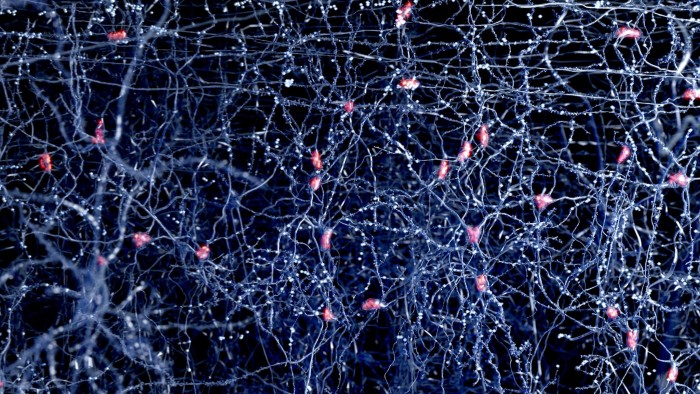 Neuron network, artwork