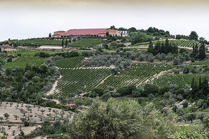 Semeli winery near Nemea 