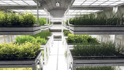 A computer-generated image of a Mars One farm featuring plants on shelves
