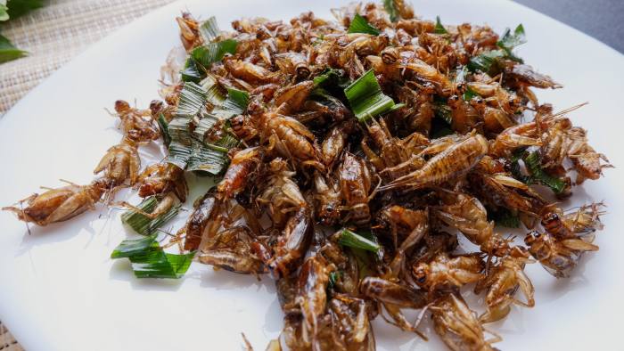 Horse cricket fried with sliced lemon grass on white dish