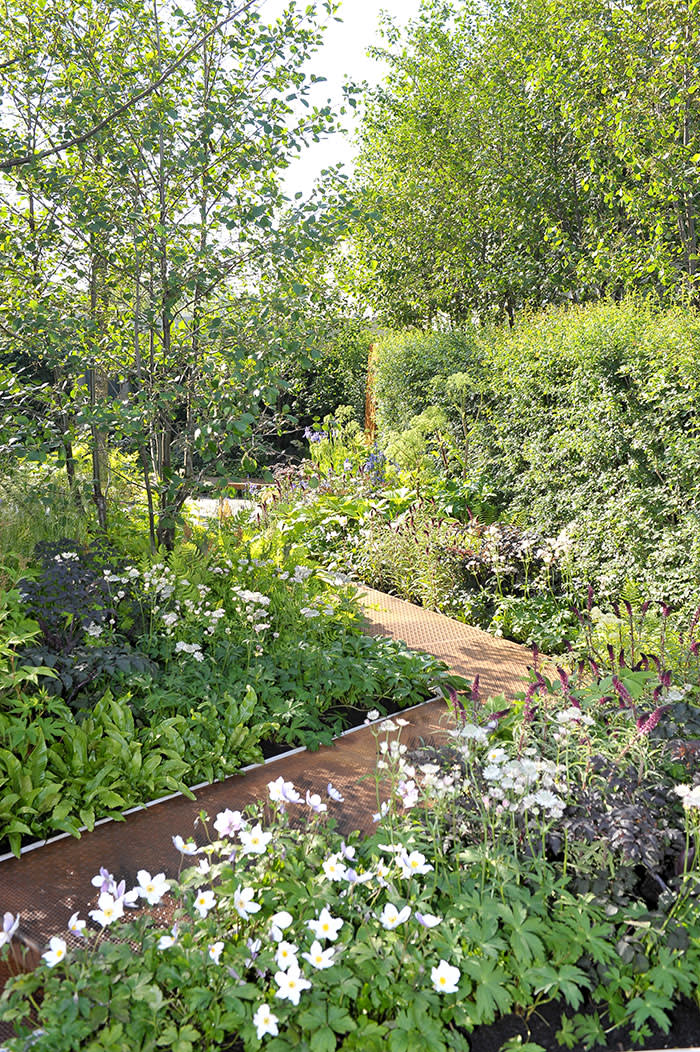 Harris Bugg Studio design of a garden (C) Chris Christodoulou