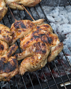 Grilled poussin