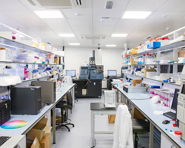 Inside the laboratory at the Institute for Global Food Security